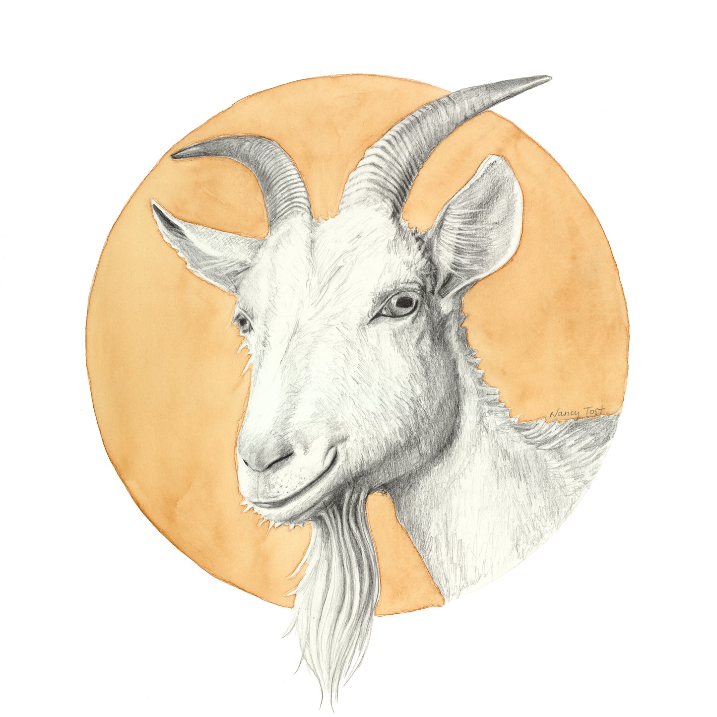 It's Just a Goat print