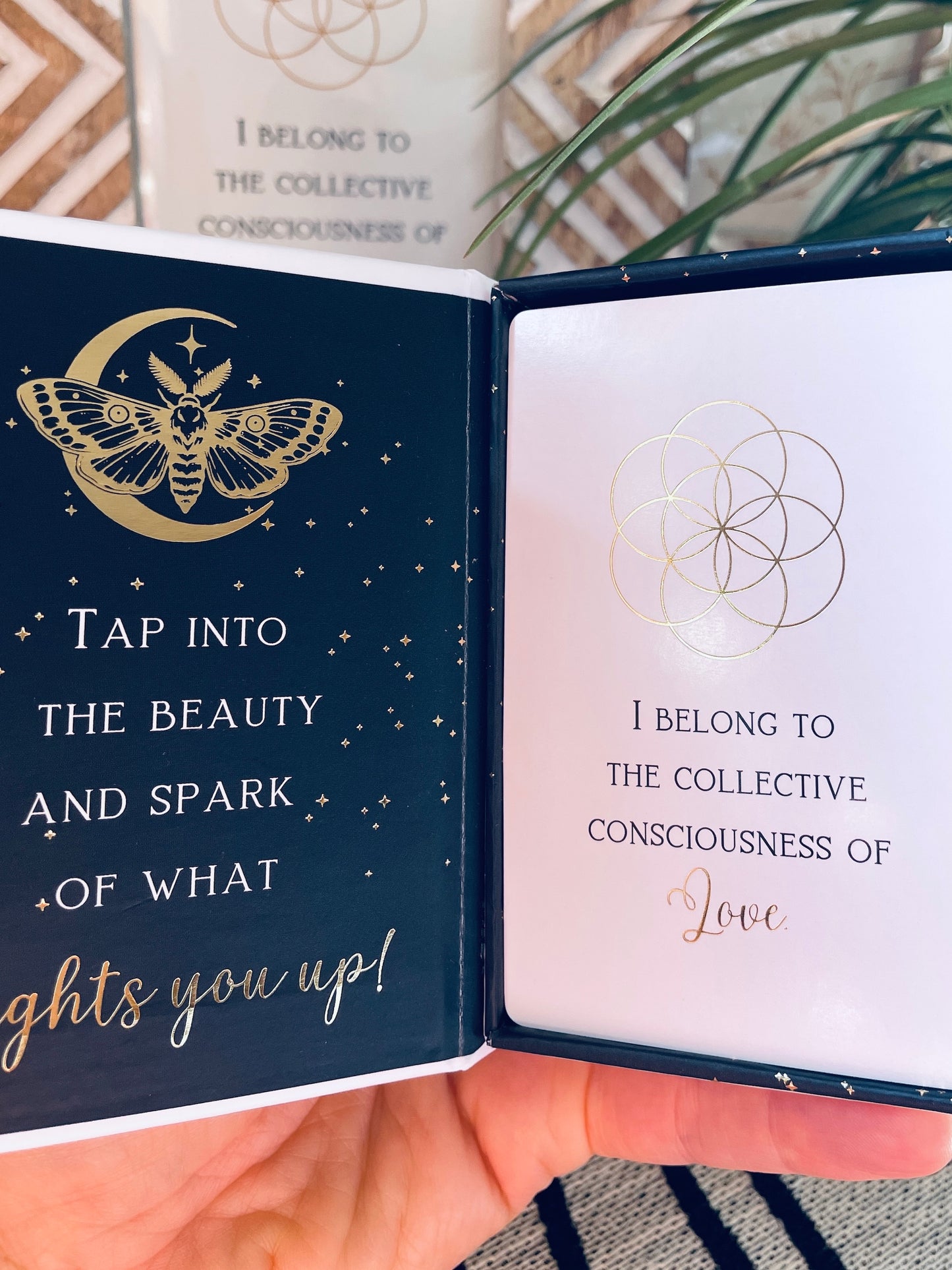 Light Me Up Box
