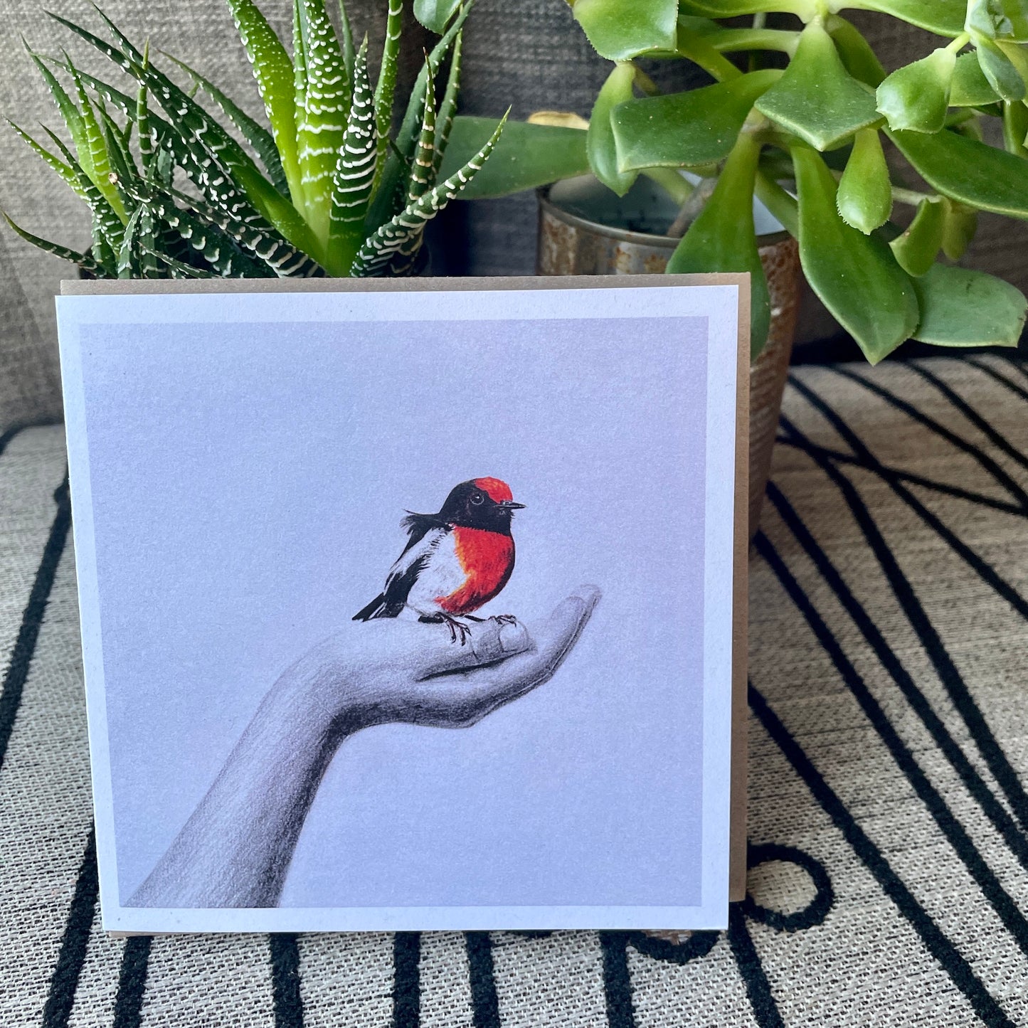 Red Capped Robin